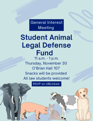 SALDF Flyer.png