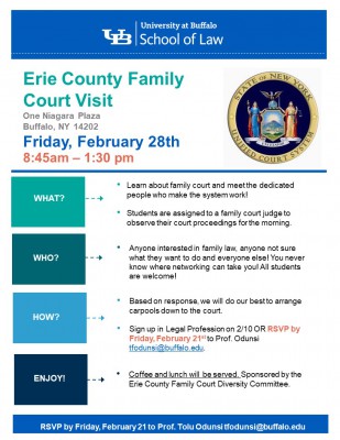 Family Court Flyer branded 20.jpg